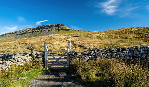 Pen-y-ghent, Yorkshire Dales